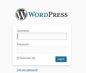 wordpress custom website