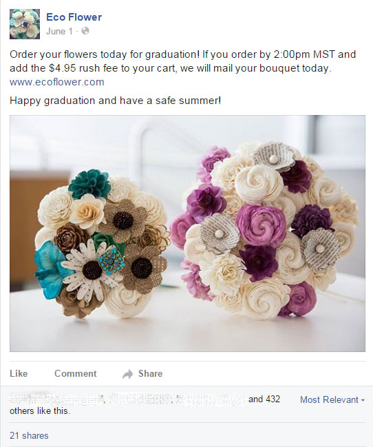 Eco Flower Facebook ad sales