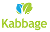 Kabbage business loans